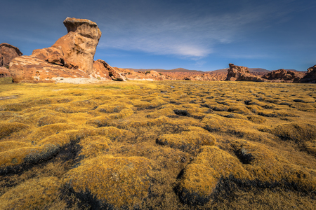 Wild landscape near the Black Lagoon in Eduardo Avaroa National Park, Boliviaの写真素材