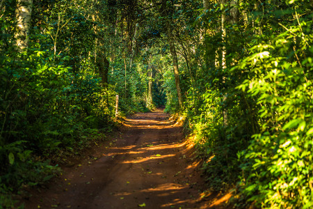 Foz Do Iguazu - June 23, 2017: Path in Iguazu National Park in Foz Do Iguazu, Brazil