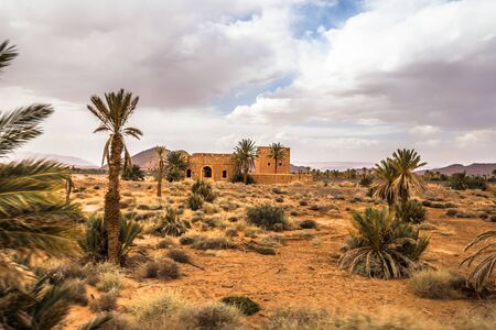 Dry landscape of the countryside of Algeriaの写真素材