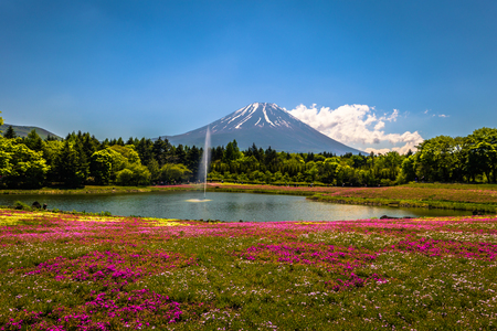 Motosu - May 24, 2019: Mount Fuji seen from the Shiba-Sakura festival, Japanのeditorial素材