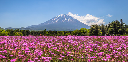 Motosu - May 24, 2019: Mount Fuji seen from the Shiba-Sakura festival, Japanのeditorial素材