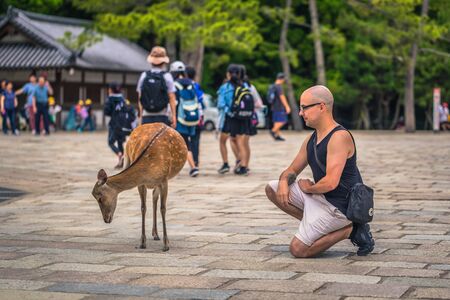 Nara - May 31, 2019: Deer with tourists in Nara deer park, Nara, Japanのeditorial素材