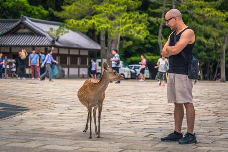 Nara - May 31, 2019: Deer with tourists in Nara deer park, Nara, Japanのeditorial素材