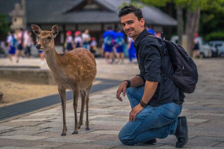 Nara - May 31, 2019: Deer with tourists in Nara deer park, Nara, Japanのeditorial素材