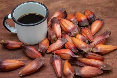 brazilian pine fruit pinion on wooden backgroundの写真素材