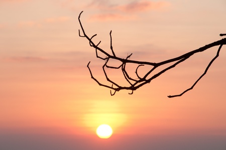 beautiful twilight sunrise at Phu Kra Dung, silhouette style, Thailandの写真素材