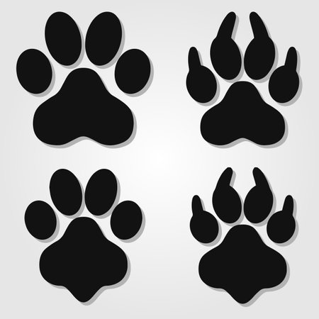 Different footprints of big cats set.のイラスト素材
