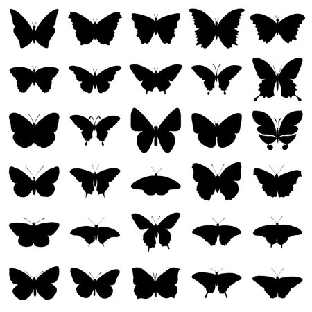 Vector set of black silhouettes of butterflies on a white background vector.のイラスト素材