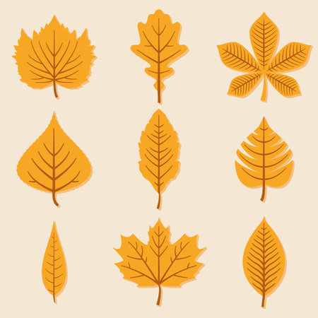 Set of autumn leaves on white background.のイラスト素材