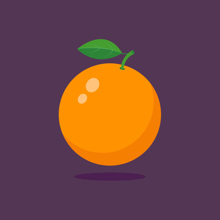 Bright vector set of juicy orange.のイラスト素材