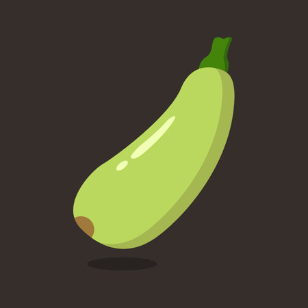 Vector zucchini on the background.のイラスト素材