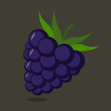 Flat illustration of dessert blackberry vector icon for web design.のイラスト素材
