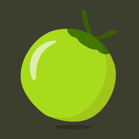 Fresh green coconut fruit vector design.のイラスト素材