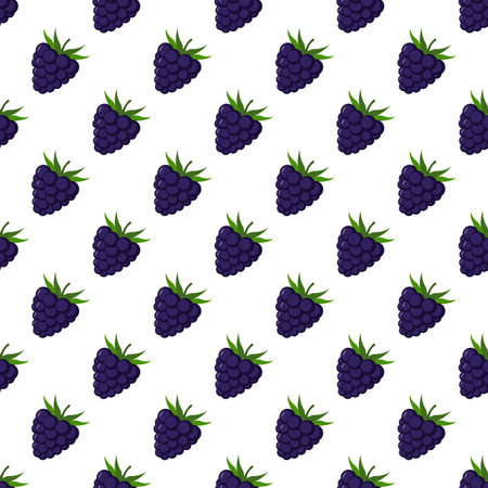 Blackberry seamless pattern on white background.のイラスト素材