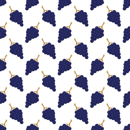 Seamless pattern with blue grapes on a white background.のイラスト素材
