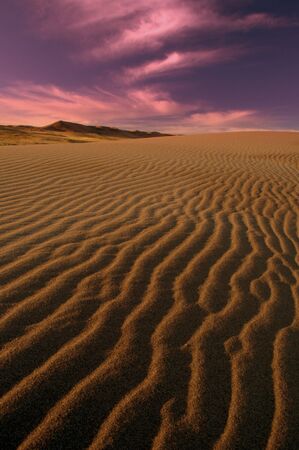 Sand Dune at Sunrise 1の写真素材