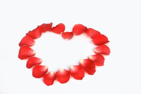 Red rose petals  with heart shape on white background.の写真素材