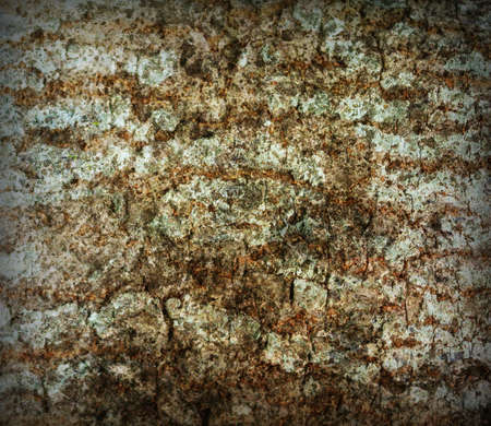 abstract the old grunge wall for background の写真素材