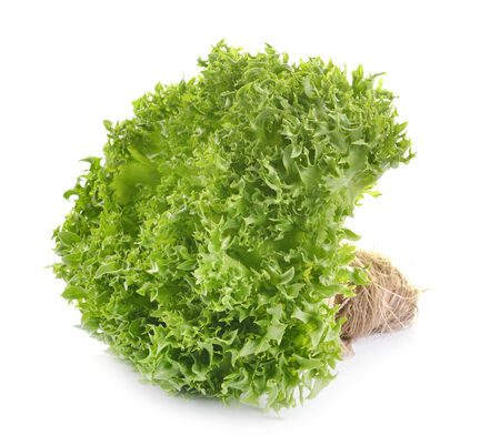 oak leaf lettuce isolate on whiteの写真素材