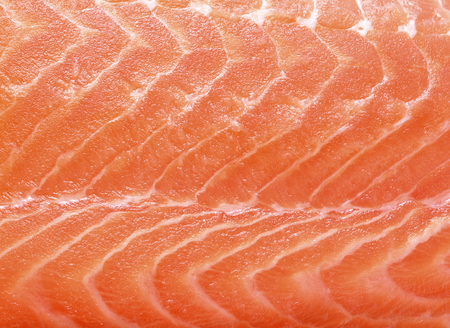 closeup Fresh red salmon texture backgroundの写真素材
