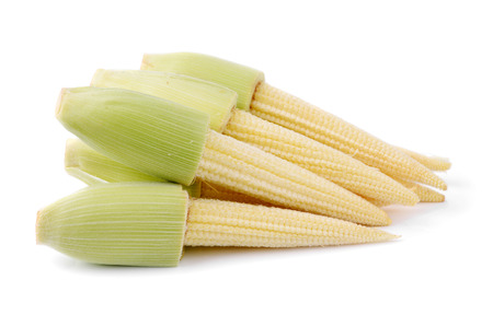 Young small corn on whiteの写真素材