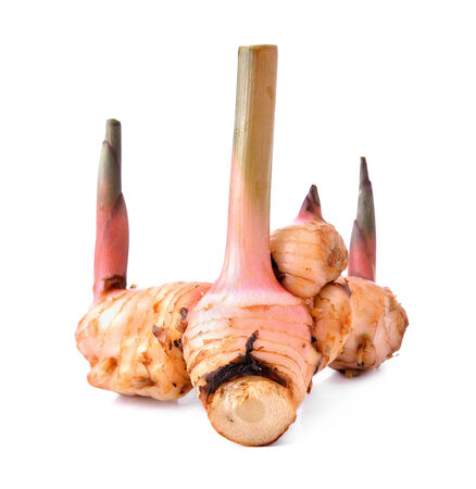 galangal on white backgroundの写真素材