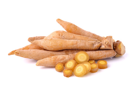 Fingerroot, Kaempfer, Boesenbergia on white backgroundの写真素材