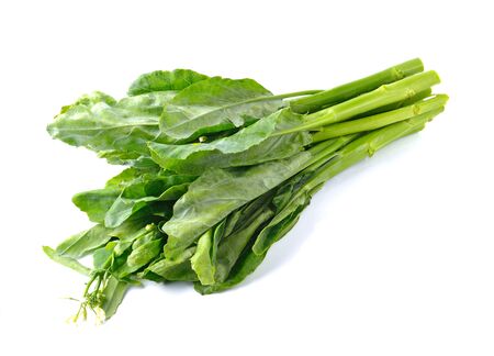Chinese kale vegetable on whiteの写真素材