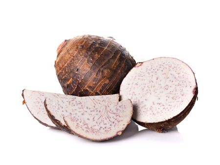 Taro on white backgroundの写真素材