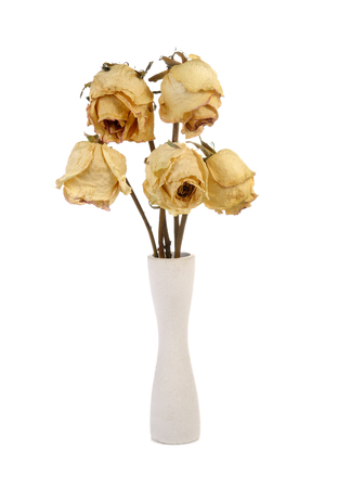 Dried roses in vase on white backgroundの写真素材