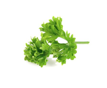 parsley isolated on white backgroundの写真素材