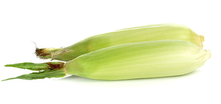 Corn on white backgroundの写真素材