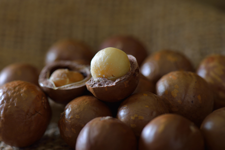 Macadamia nut on sackclothの写真素材
