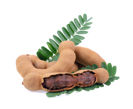 tamarind isolated on white backgroundの写真素材