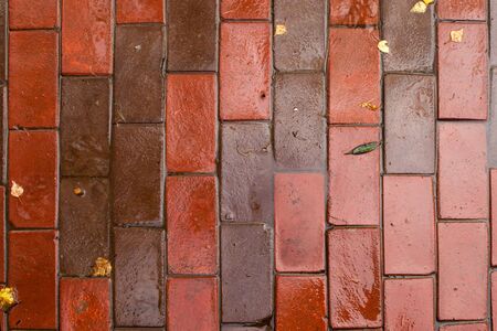 Red road of red bricks with waterの写真素材