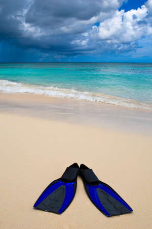 two blue flippers on the white sand beach before blue oceanの写真素材