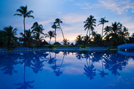 Many black palm on a night beach night near pool