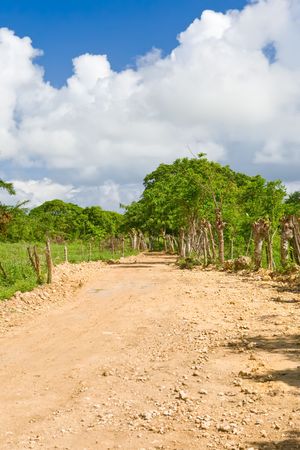 Road in a country under a blue sky Dominican republicの写真素材