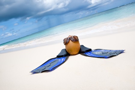 Coconut with black sunglasses and blue flippers on white sand beach in summerの写真素材