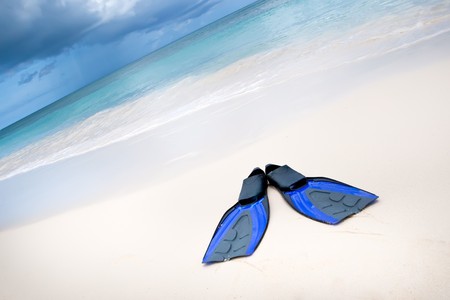 Coconut with black sunglasses and blue flippers on white sand beach in summerの写真素材