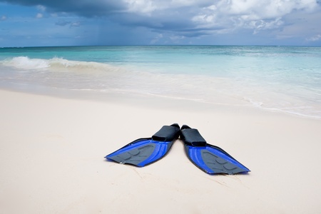 Coconut with black sunglasses and blue flippers on white sand beach in summer