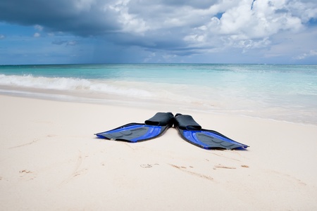 Coconut with black sunglasses and blue flippers on white sand beach in summerの写真素材