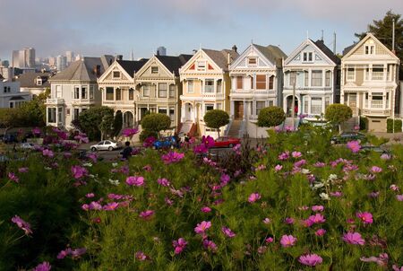 Flowers and Alamo Sq Victorian Houses, San Francisco, Californiaの写真素材
