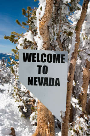 more like this in my portfolioの写真素材