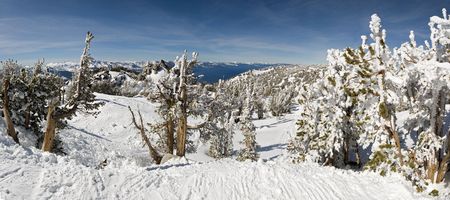 more like this in my portfolioの写真素材