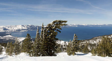 more like this in my portfolioの写真素材