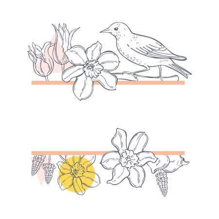 Vector frame with  hand drawn bird and flowers.  Sketch  illustration.のイラスト素材