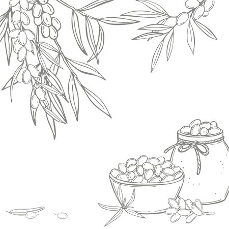 Hand drawn sea buckthorn set. Branches with berries. Jars of sea buckthorn jam. Vector  background. Sketch  illustration.のイラスト素材