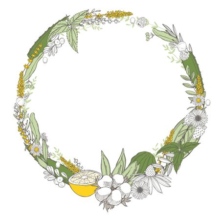 Organic cosmetics background. Plants for natural cosmetics. Vector sketch  illustration.のイラスト素材