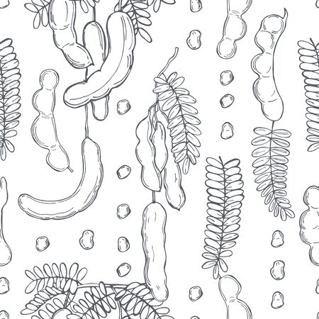 Hand drawn Tamarind (Tamarindus indica).  Vector seamless pattern.のイラスト素材